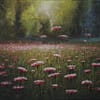 49 Sunlit Forest Cosmos